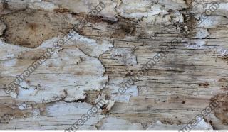 Wood 0002